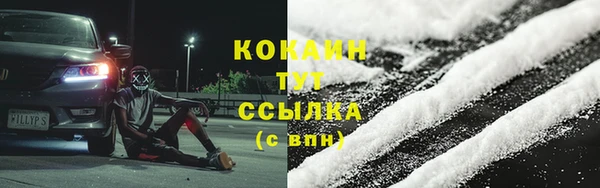 мдпв Бородино