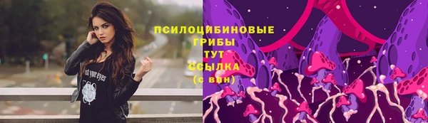 сатива Верхний Тагил
