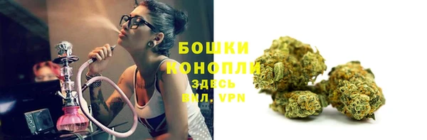 дурь Верея