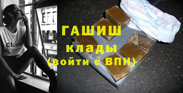 мдпв Бородино