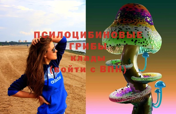 дурь Верея