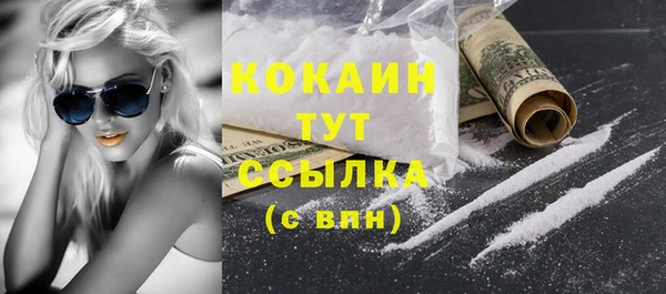 мдпв Бородино