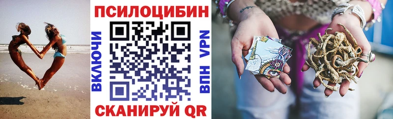 как найти   Вязьма  Галлюциногенные грибы Psilocybine cubensis 